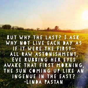 Imaginary Conversation by Linda Pastan