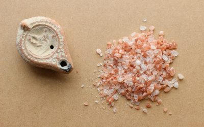 Living as Salt and Light