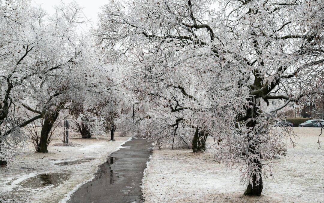 Sunday March 30th Worship Service Cancelled