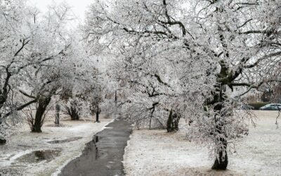 Sunday March 30th Worship Service Cancelled